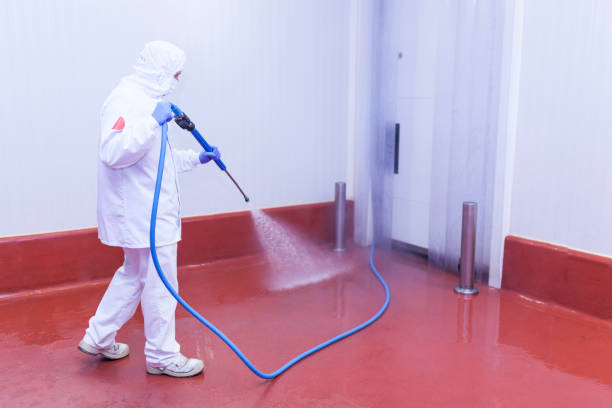 Boat and Dock Cleaning in Vassar College, NY